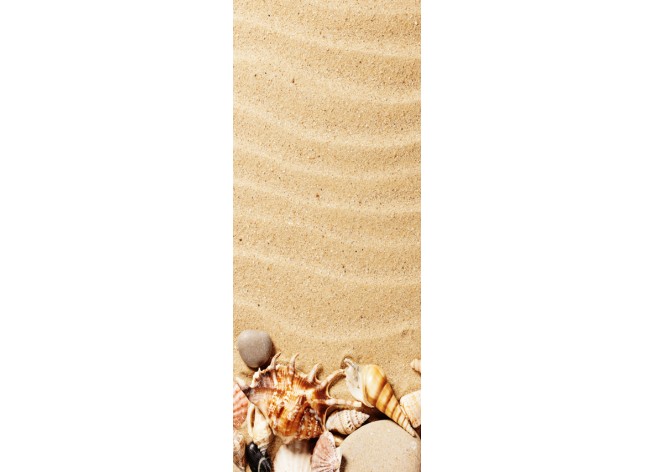 Наклейка на дверь Ракушки на фоне песка